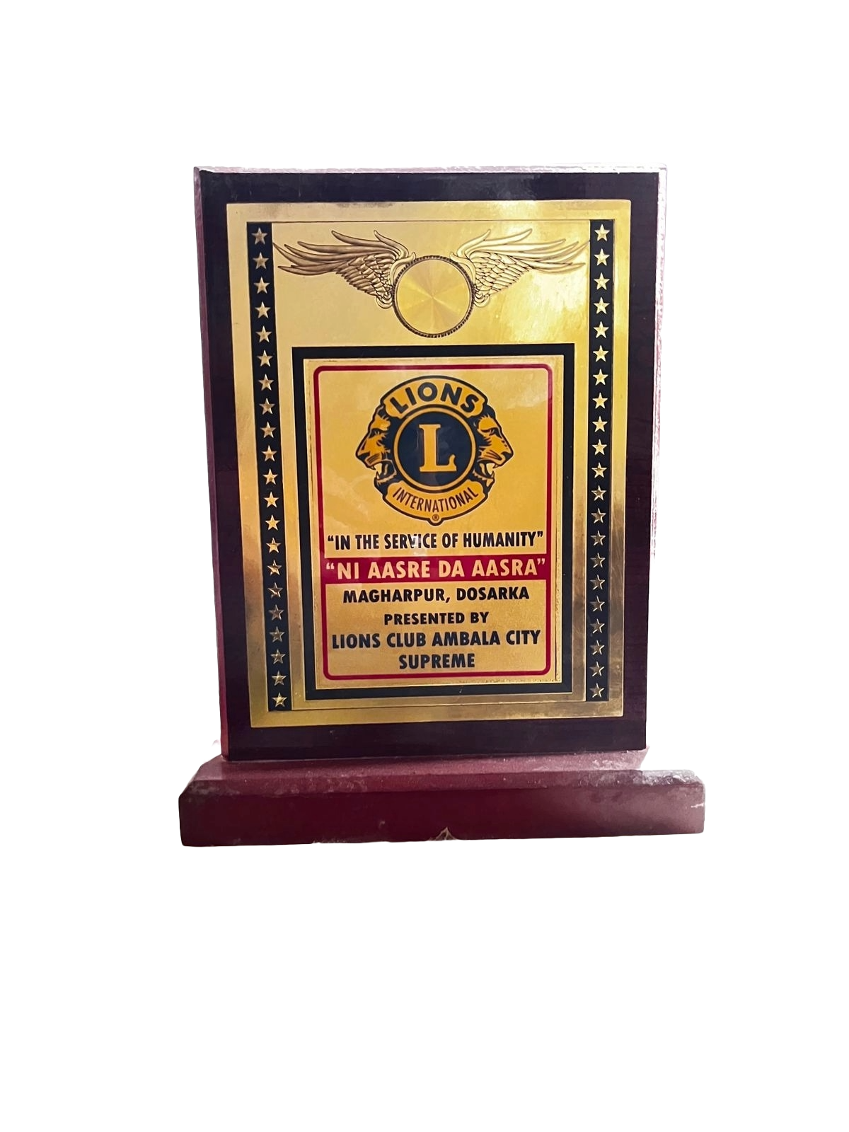 Lions Club Ambala City Supreme award for service of humanity